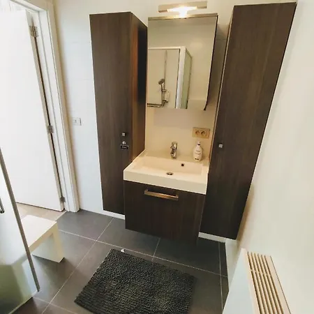 Penthouse Met Groot Terras Остенде