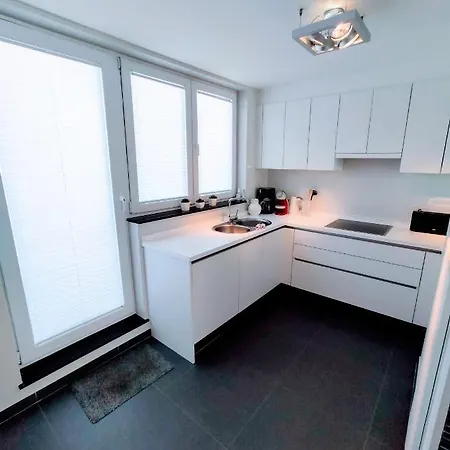 Penthouse Met Groot Terras